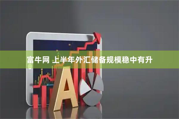 富牛网 上半年外汇储备规模稳中有升